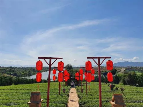 One - Day Tour From Mui Ne To Bao Loc